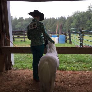 Meet your Posher, Lauren